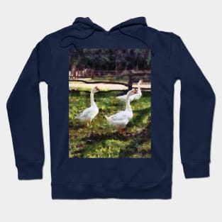 Geese - Three White Geese Hoodie